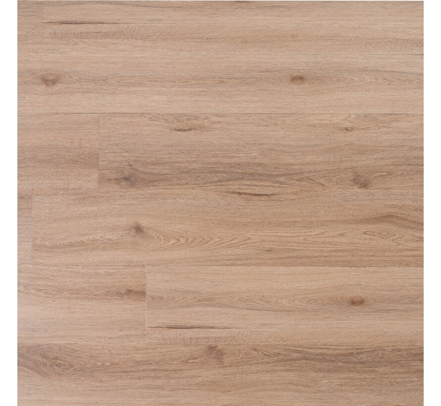 IPC OPAL XL ALKMAAR