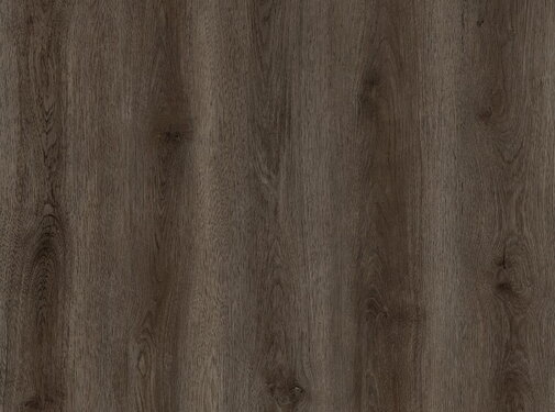 Republic Floor Grizzly Buzz