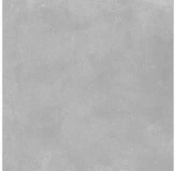 Floorlife vloeren Floorlife pvc Ealing dryback light grey