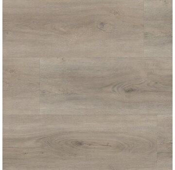 Floorlife vloeren Floorlife pvc Parramatta dryback light grey