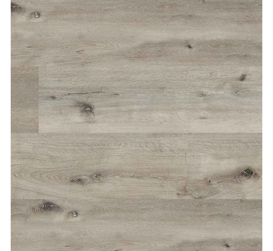 Floorlife pvc Sydney Harbour dryback smoky