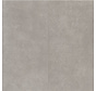 Vtwonen Tegel Basic Dryback Light Grey - 6207625019