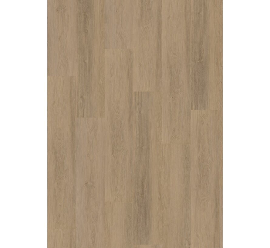 Hoomline Briljant Iris 40017