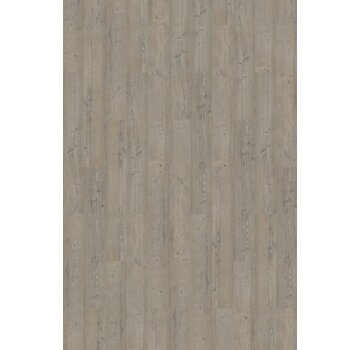 Province Design Champagne 419120