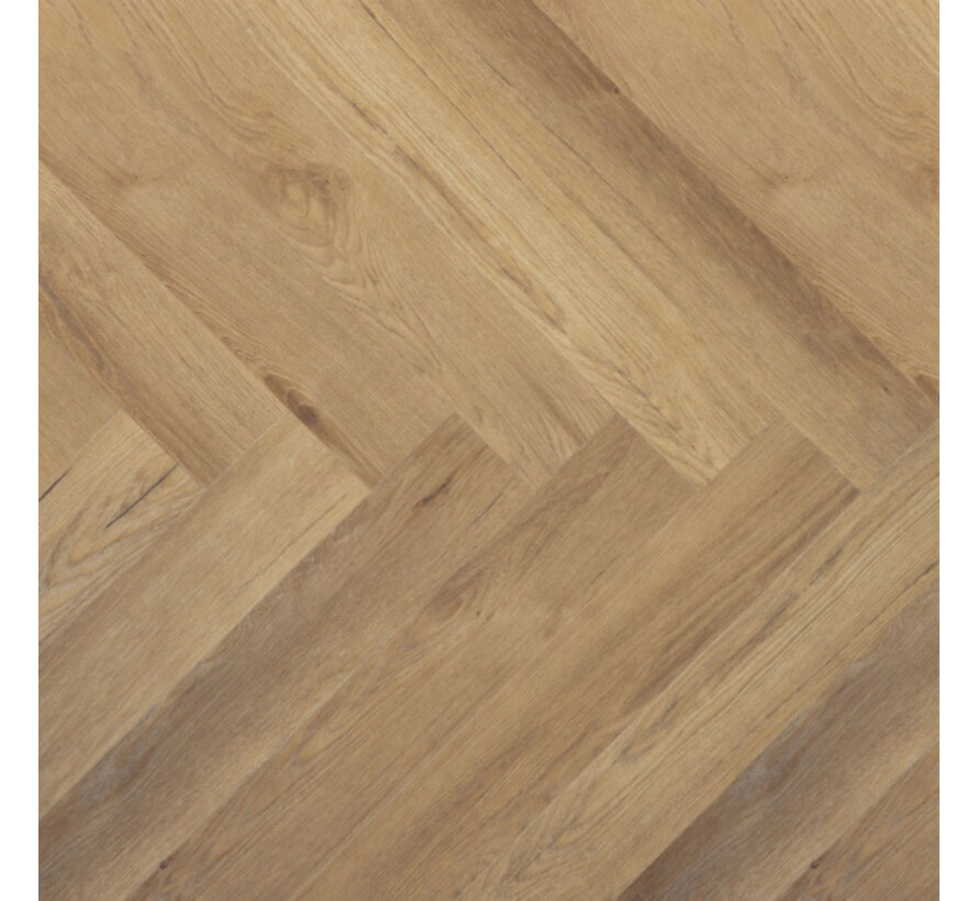 Douwes Dekker Ambitieus Visgraat Gemberkoek 04731