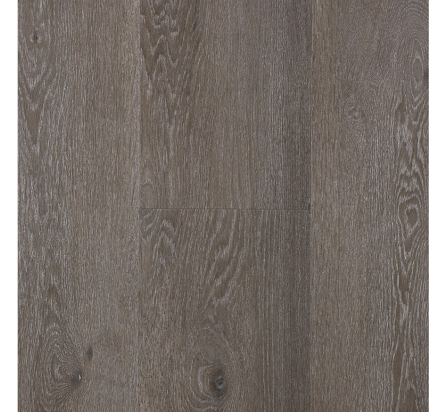 Douwes Dekker Ambitieus Riante Plank Stroop 04741