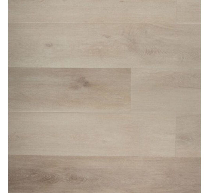 Douwes Dekker Ambitieus Riante Plank Pepermunt 04744