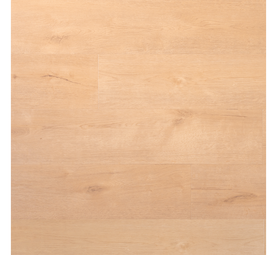 Douwes Dekker Praktisch Plank Sprits 04738