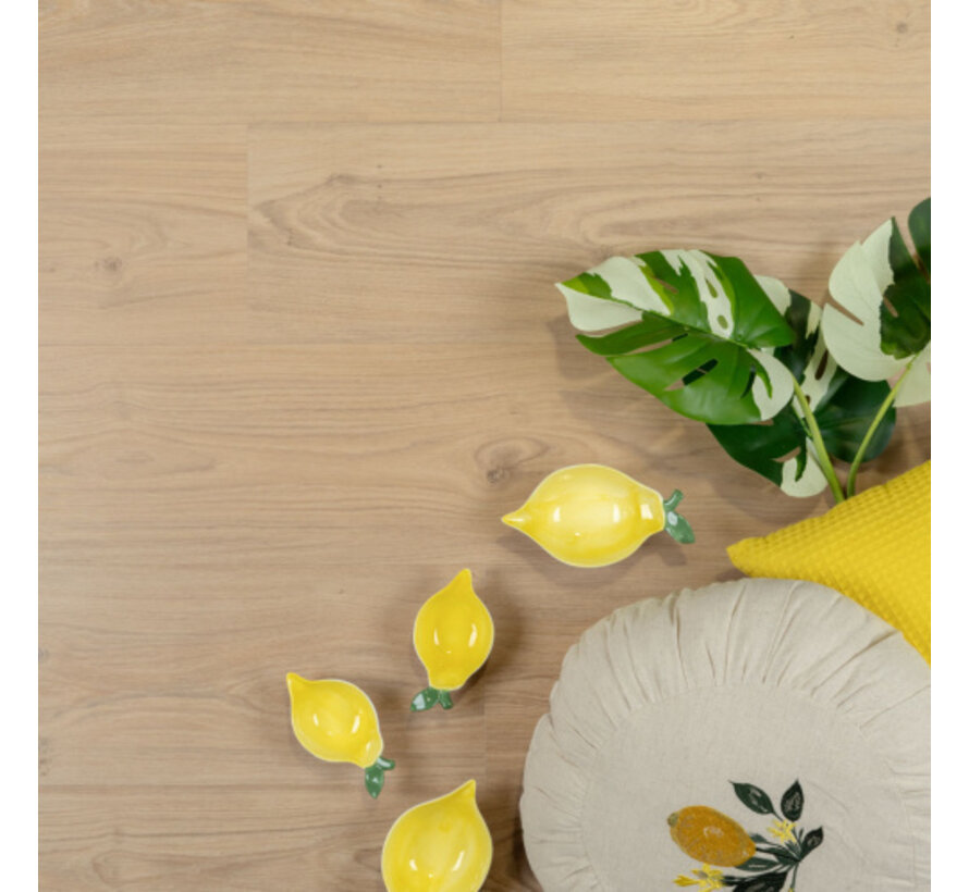 Douwes Dekker Riante plank creme brulee 07801