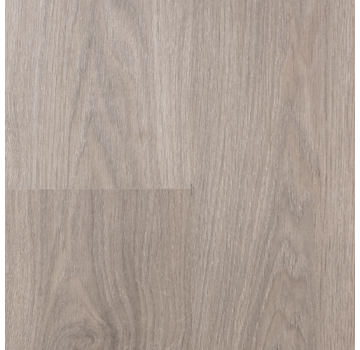 Otium OTIUM Spice grey oil