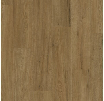 Otium OTIUM Dahlia taupe