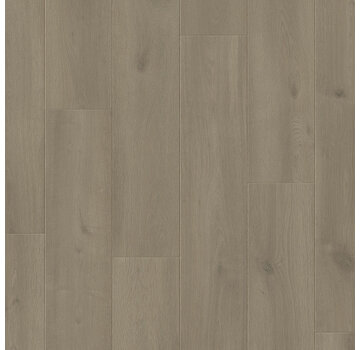 Otium OTIUM Silk light grey