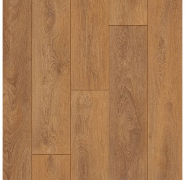 Otium OTIUM Ritual brown