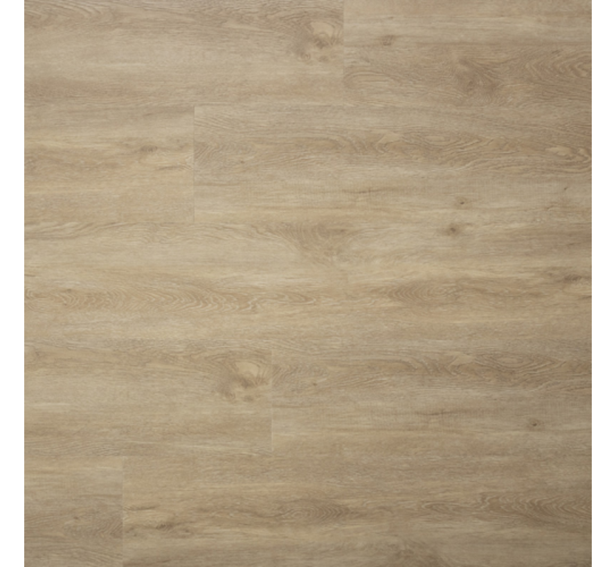 SENSE E55 EIR PP DB 121,9x22,8 cm
