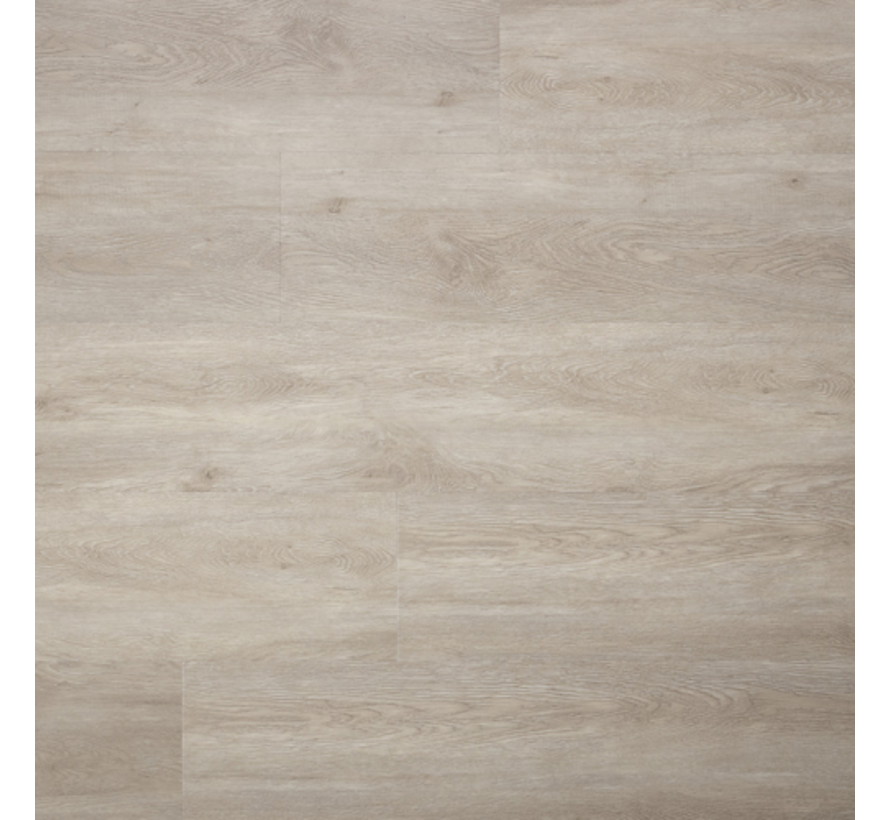 SENSE E10 EIR PP DB 121,9x22,8 cm