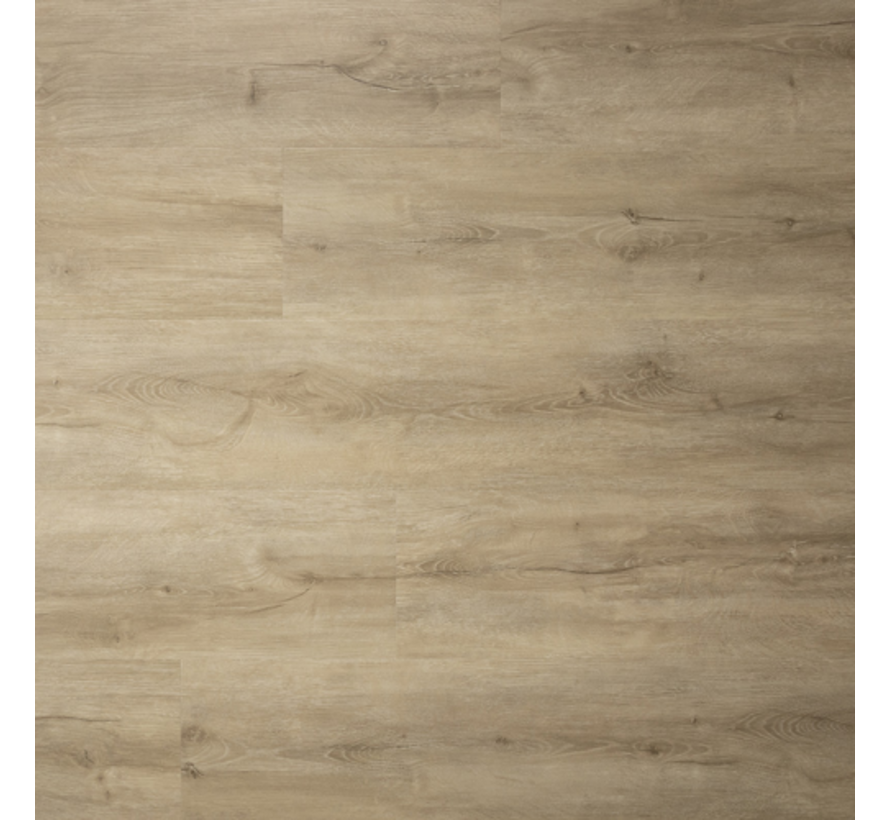 SENSE 600 R DB 121,9 x 22,8 cm
