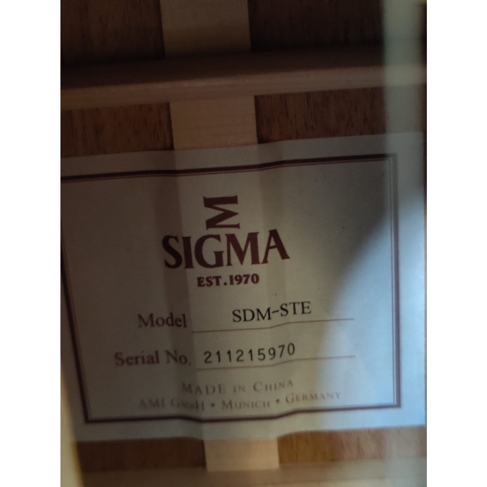 Sigma Sigma ST Serie SDM-STE All Solid with fishman pickup and softcase