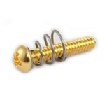 Allparts Allparts single coil pickup screw and spring, gold, 8pcs