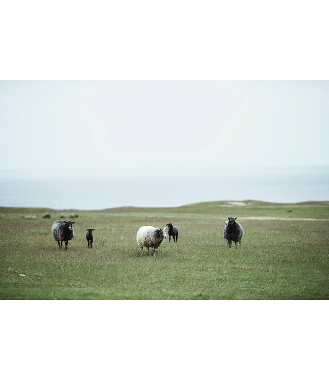 Deken Eland eco wol antraciet-wit 180x130cm