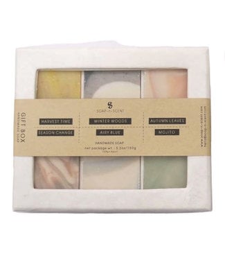 Soap-n-Scent Doosje met 6 zeepjes Seasons