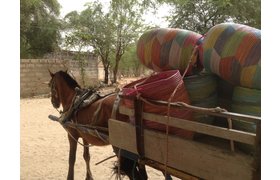 Baskets, Beads & Basics