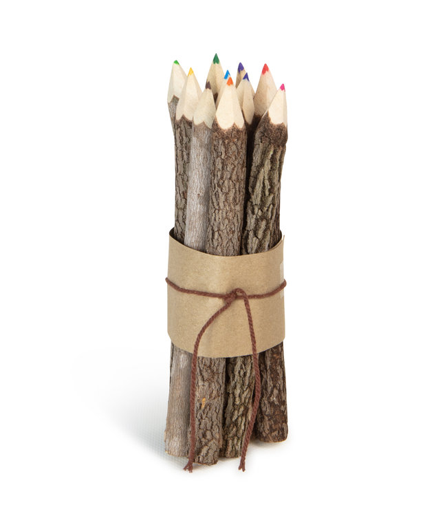 Set of 10 pencils with bark 18 cm- coloured tip