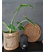 Plant basket - storage basket seagras  M 30x30 cm