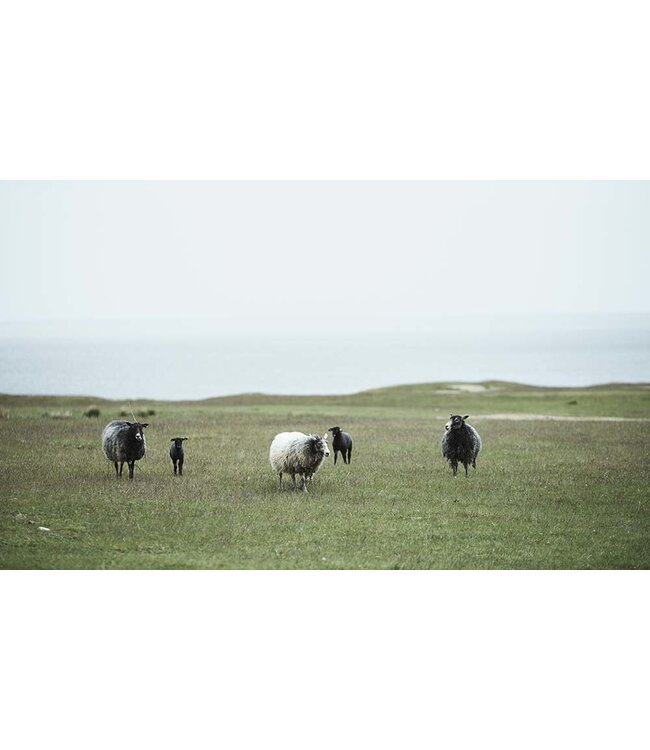 Plaid eco wool Stella - light grey and ecru