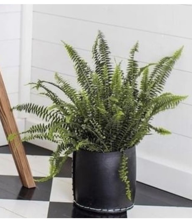 Rubber recycled flower pot straight - available in 3 sizes