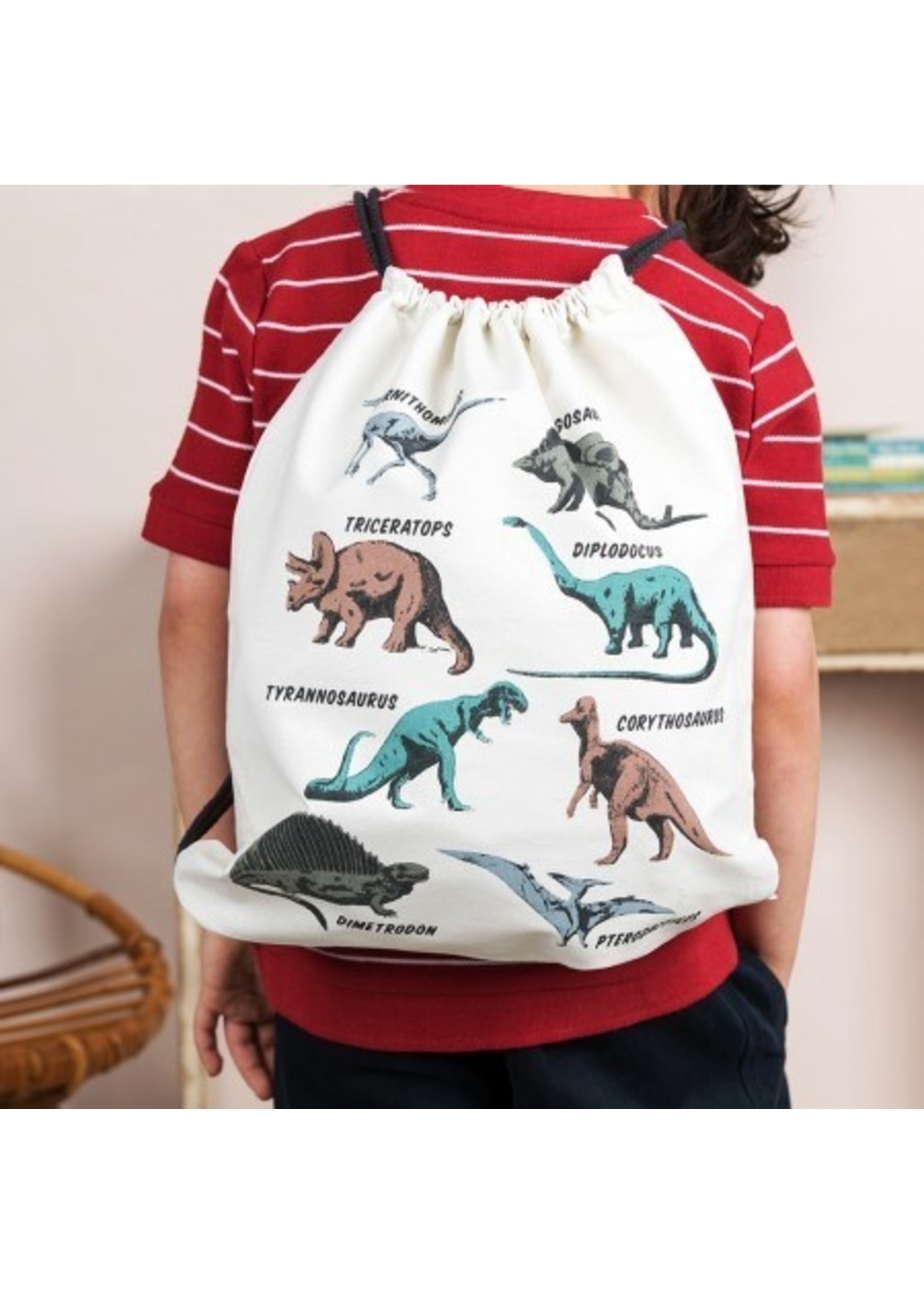 Rex London Gymbag with dinosaurs