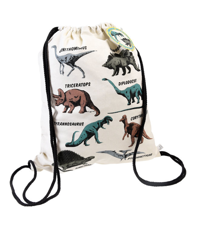 Gymbag with dinosaurs