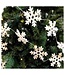 Garland felt white snow flakes 165 cm