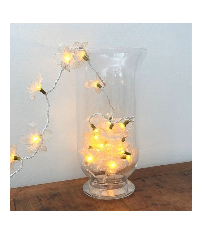 Light string with flowers 3 metres - ecru