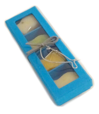 Soap-n-Scent Giftbox with 4 soaps in Fish shape