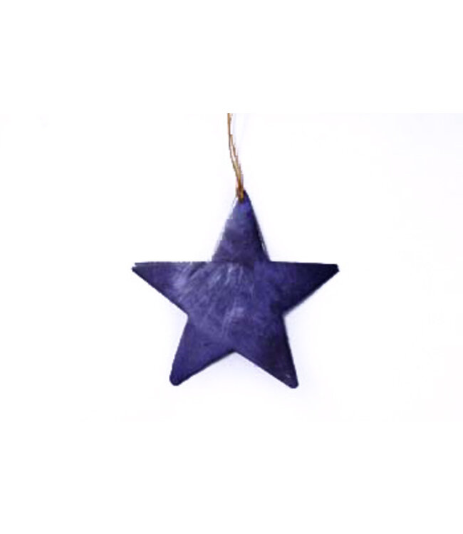 Christmas hanger capiz purple star