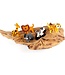 SjaalmetVerhaal Felt hangers -set of 5  jungle animals