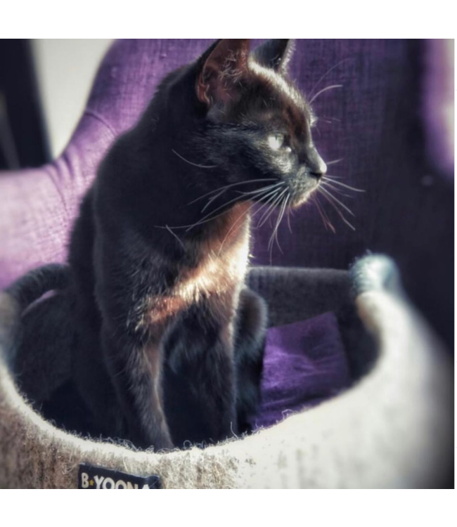 Vilten kattenmand / lectuurmand rond - grijs D40xH15cm