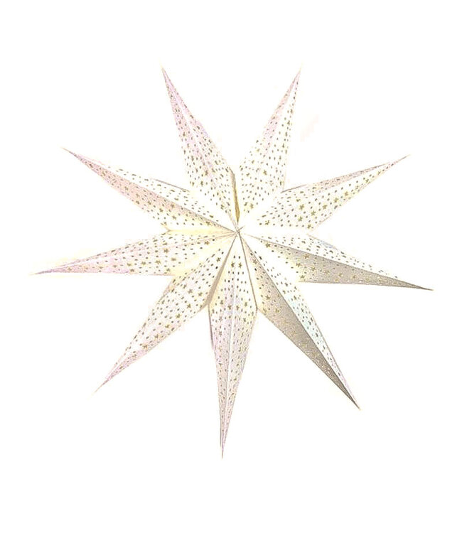 Papieren kerstster wit sterren en stippen -D60cm