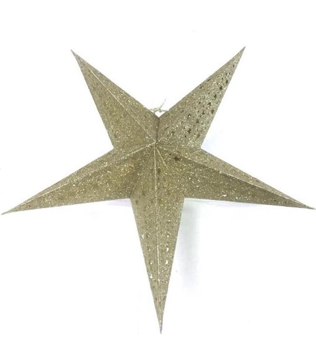 Papieren kerstster champagne D60 cm