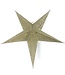 Papieren kerstster champagne D60 cm