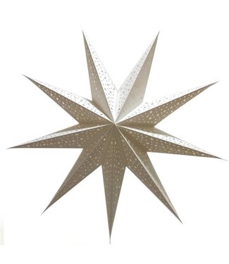 Only Natural Papieren kerstster wit sterren en stippen -D60cm