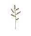 SjaalmetVerhaal Felt twig rosehip - length 50 cm