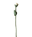 Felt Rose - 45 cm