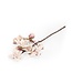 Felt twig - Magnolia - length 50 cm