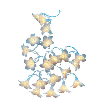 Olino Lichtslinger madeliefjes - lampjes wit -3 meter