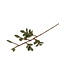 Felt twig with green leafs - length 50 cm