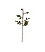 Felt twig with green leafs - length 50 cm