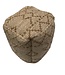 Rocaflor Poef zeegras vierkant naturel-ecru 40x40x40cm