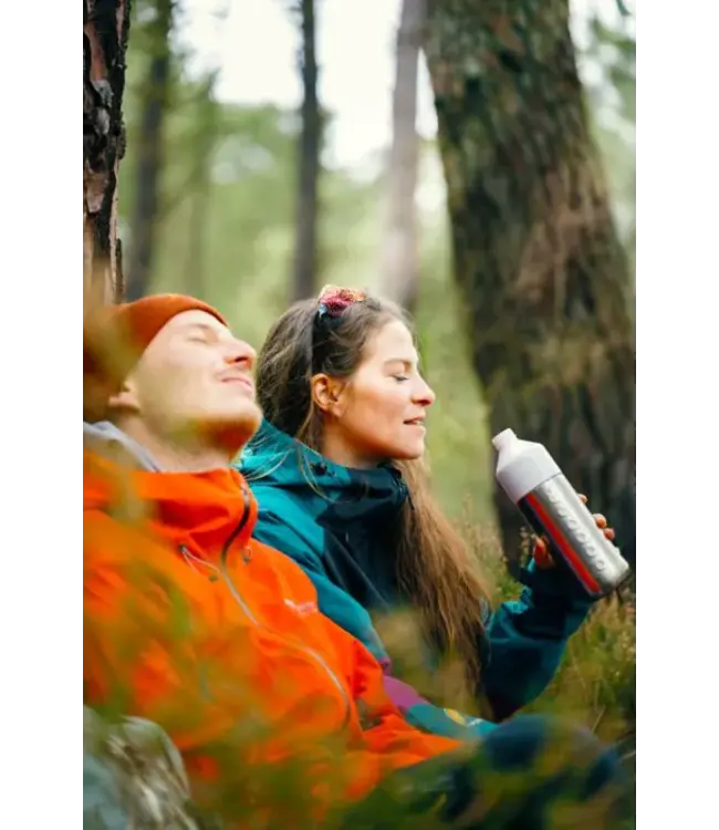 Dopper steel insulated bottle and cup - volume 580 ml - Silver