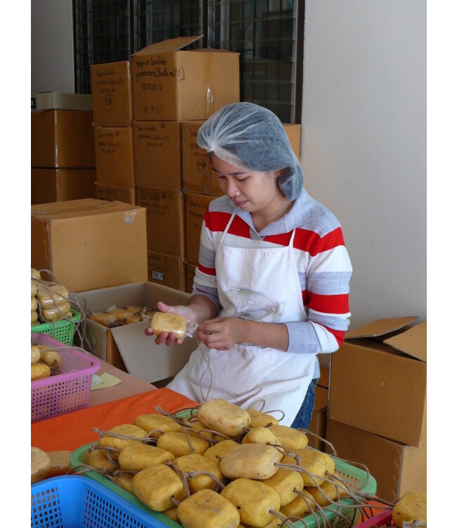 Children washing cloth Pig